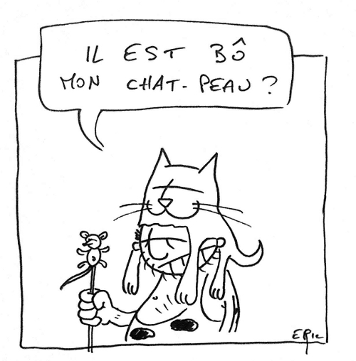 jeu de mot chat peau