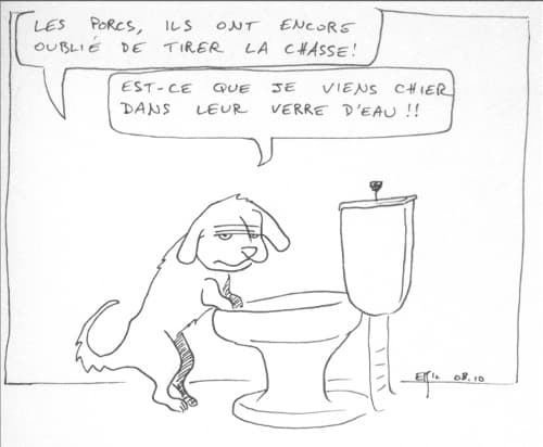 Nos amis les animaux.