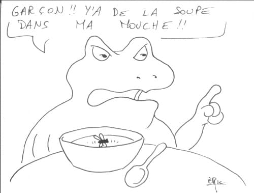 Bravo Cèc!