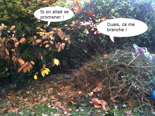 Et le dimanche, abstinence