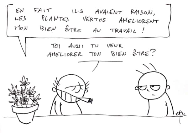 Les plantes vertes favoriseraient le bien être au travail...