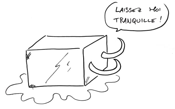 Le mammouth laineux bientôt ressucité !