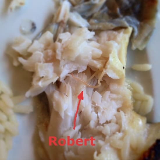 Cantine or not cantine ?