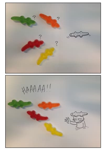 Revenons aux bases