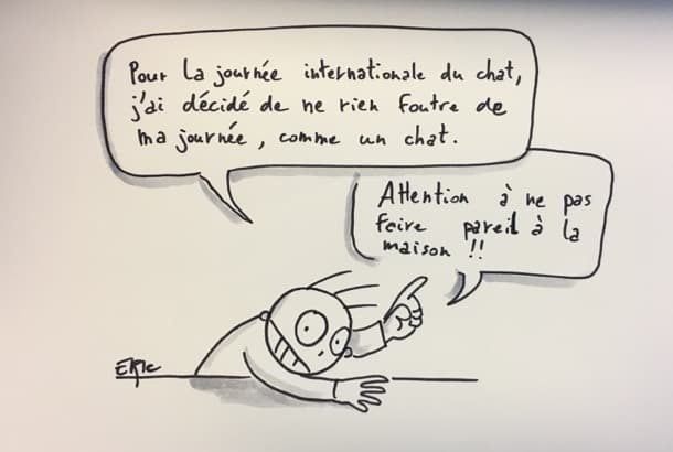 Journée internationale du chat