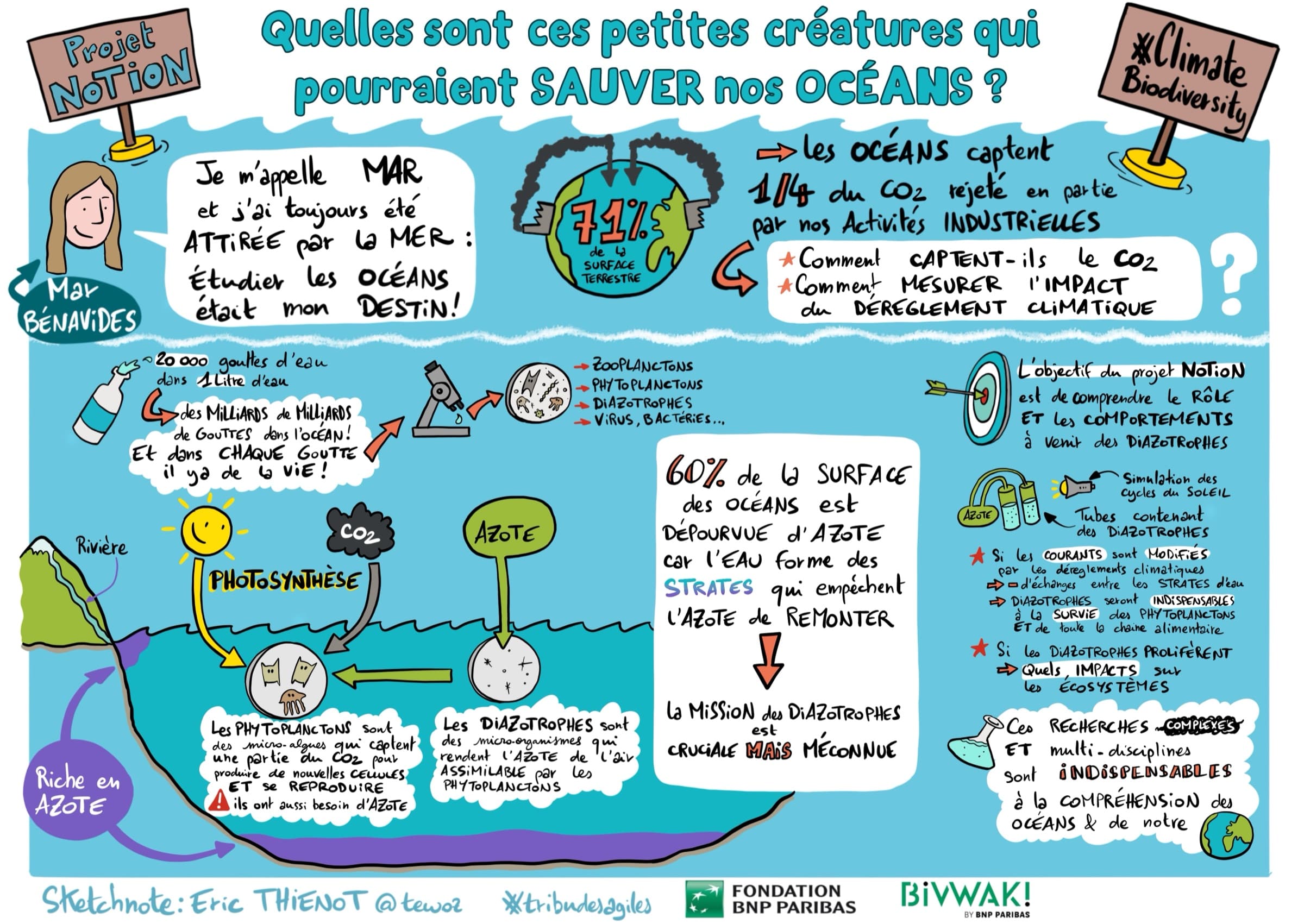 Projet NOTION : les petites créatures qui pourraient sauver nos océans