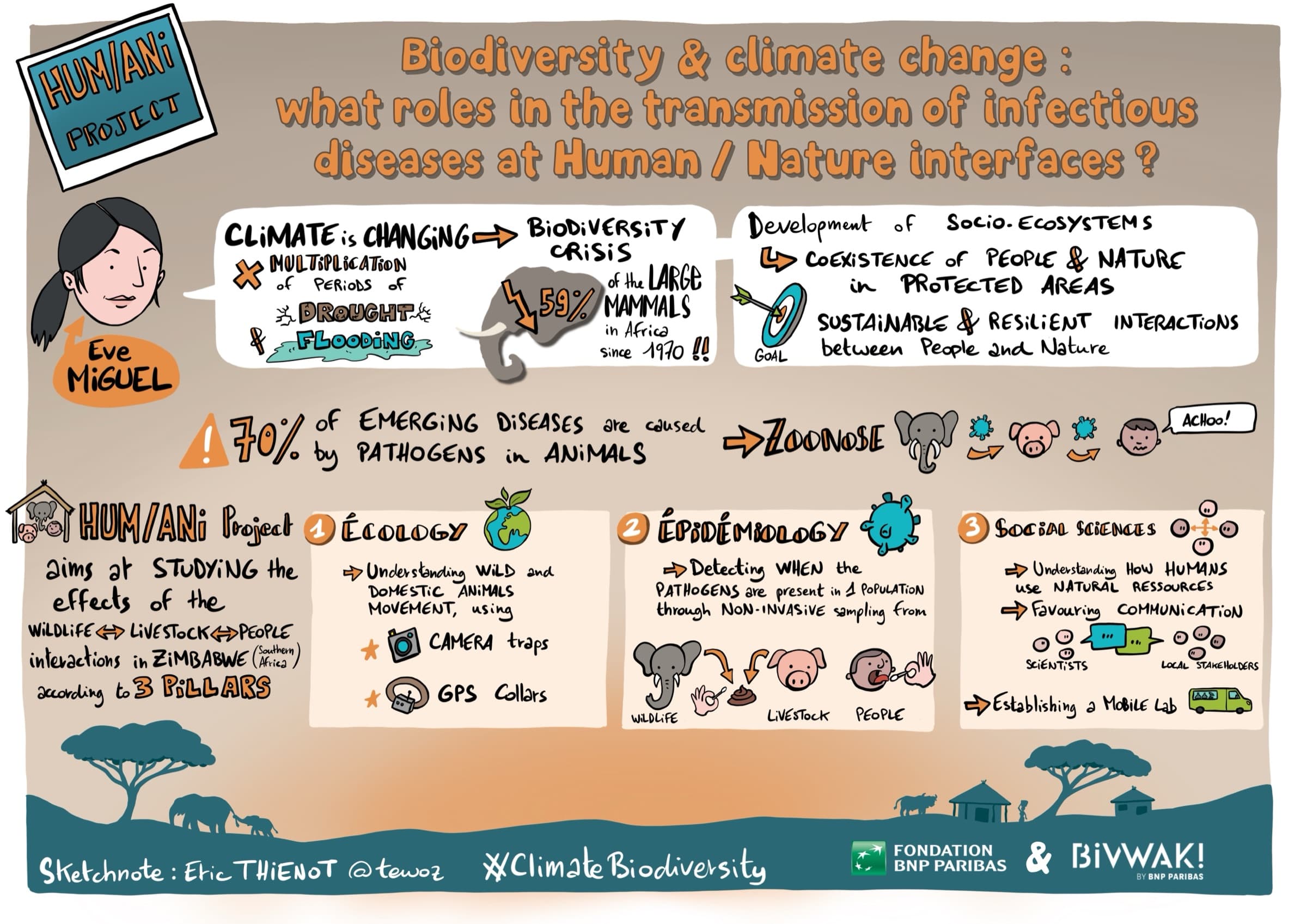 HUM/ANI : quand le climat et la biodiversité jouent avec nos maladies