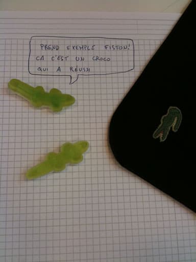 Le tournesol, le tournesol, n'a pas besoin d'une boussole...