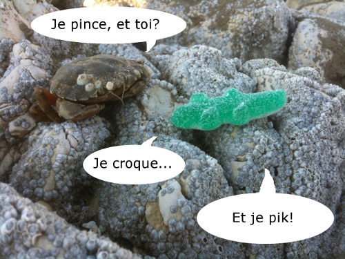 crocopik