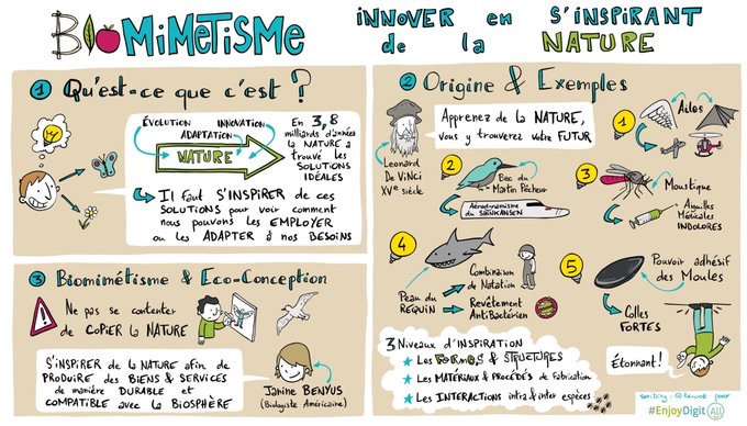 Biomimétisme : innover en s'inspirant de la nature